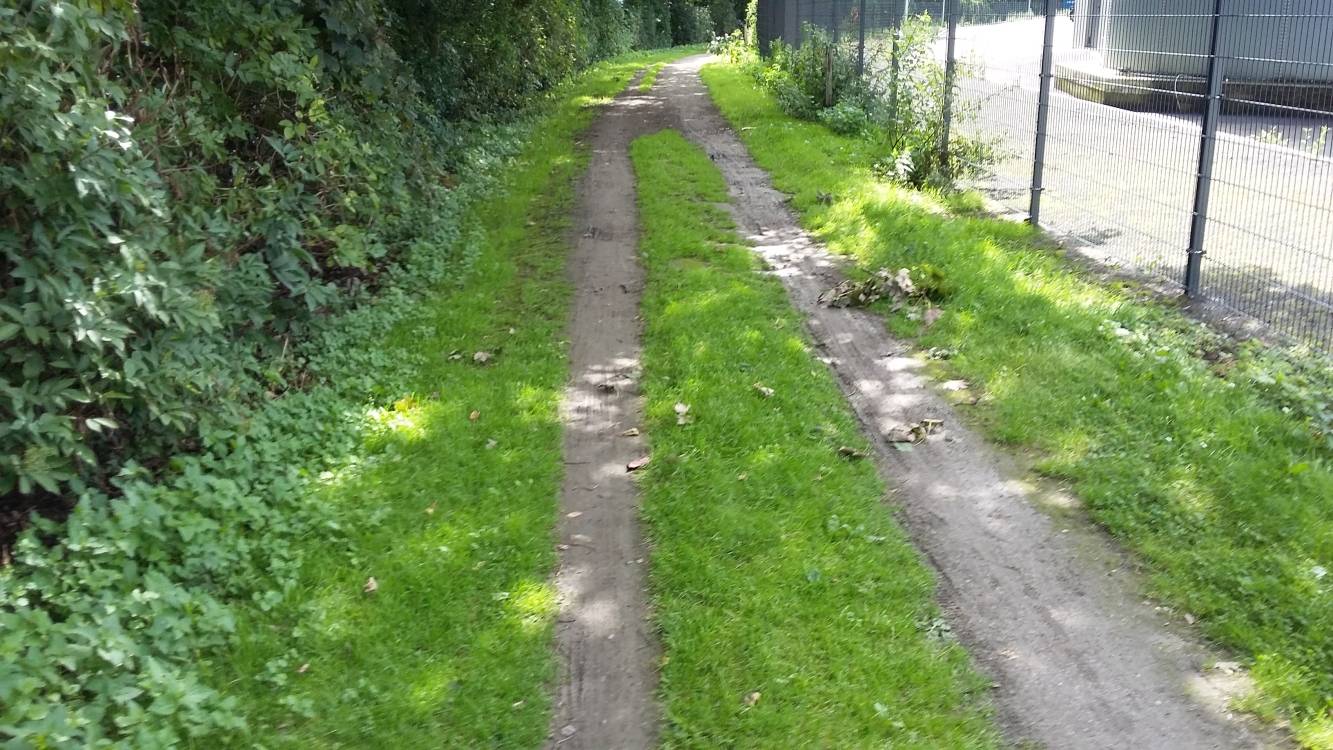 So sah der betroffene Abschnitt des Rheinradweges bis vor Kurzem aus. Jetzt, nach der Sanierung, hat er wieder eine ebene, verdichtete Oberfläche aus Schotter.