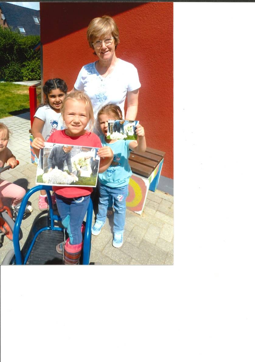 Ein Schaf namens Jane