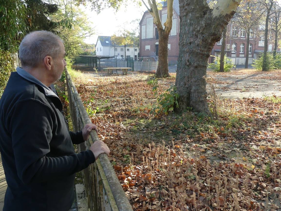 Wer kümmert sich ums Laub?