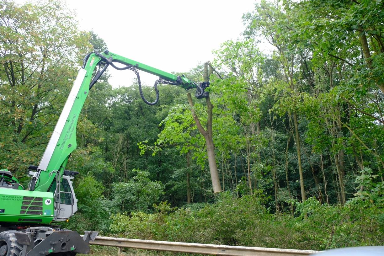  Baumfällung am Europaring.  