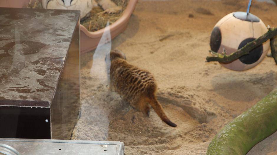 Blick in die Wohnstube der...