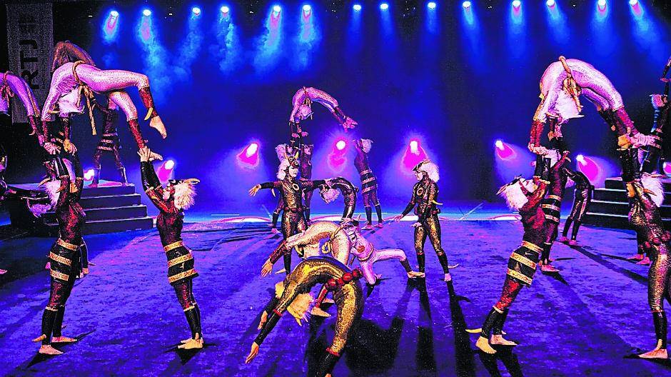  Auch die „Fliegenden Homberger“ kommen zur Sportschau am 23. November ins TaM. 