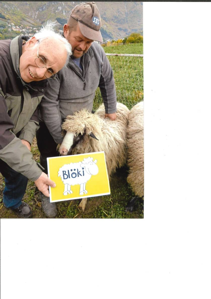 Verschenken Sie ein Schaf!