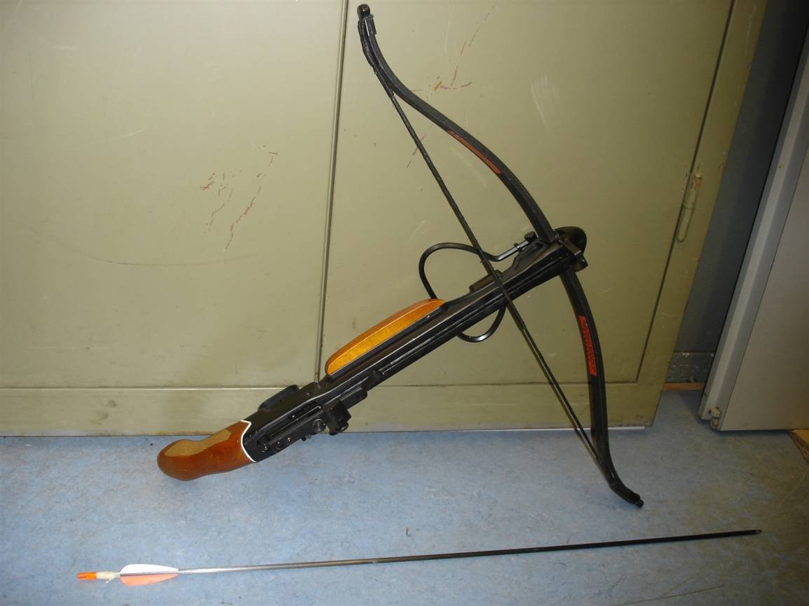 Polizei fasst Drogendealer: Zwei Kilo Marihuana, 48 Pflanzen und eine Armbrust sichergestellt