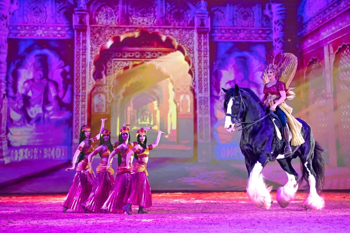 Magische Begegnungen mit über 50 Pferden: Show "Apassionata" auf September verschoben