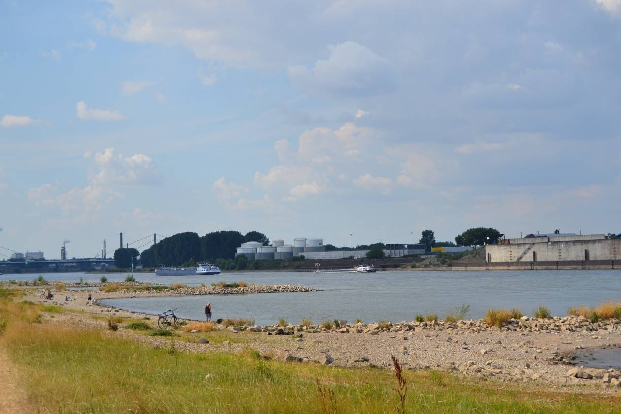 Rhein führt Niedrigwasser