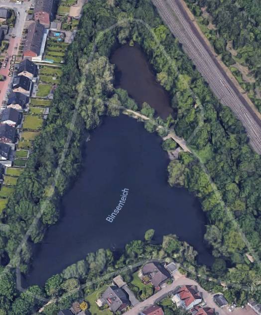  Der Binsenteich in Rumeln ist aktuell mit Blaualgen belastet. 