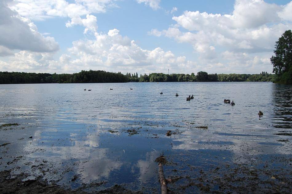 Blaualgen im großen Toeppersee