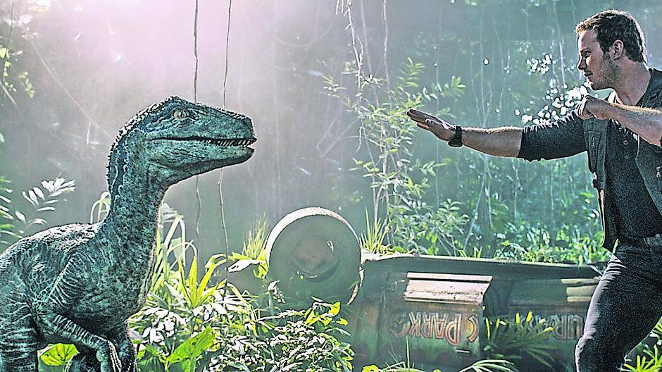 Sommerkino war ein Renner