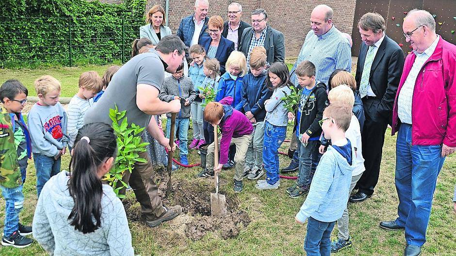 Beim Pflanzen des Mispelstrauches durften die Kinder der Agnes-Brakel-Schule kräftig mithelfen.