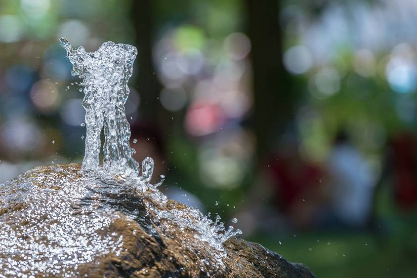 Acht Ernährungsmythen auf ihren Wahrheitsgehalt abgeklopft