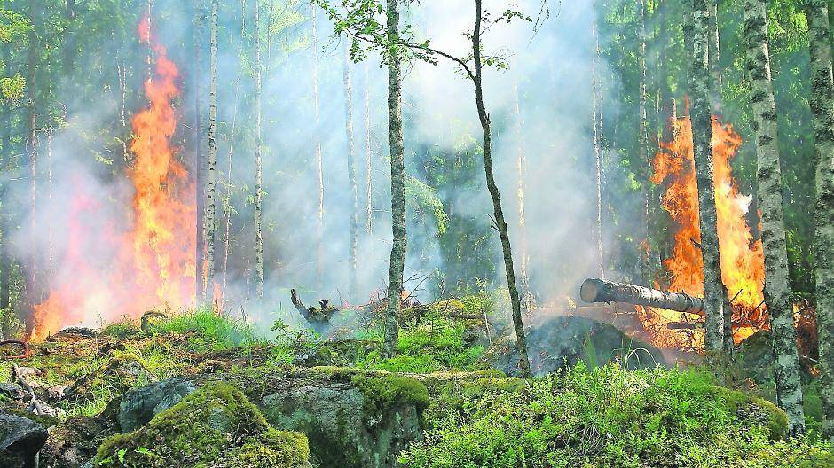 Tagelanger Landregen