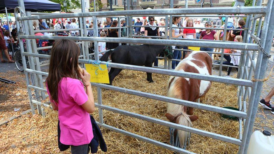 Bottermaat in Hüls - die schönsten Bilder