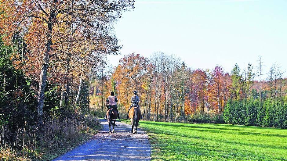 Reiten auf Fahrwegen erlaubt