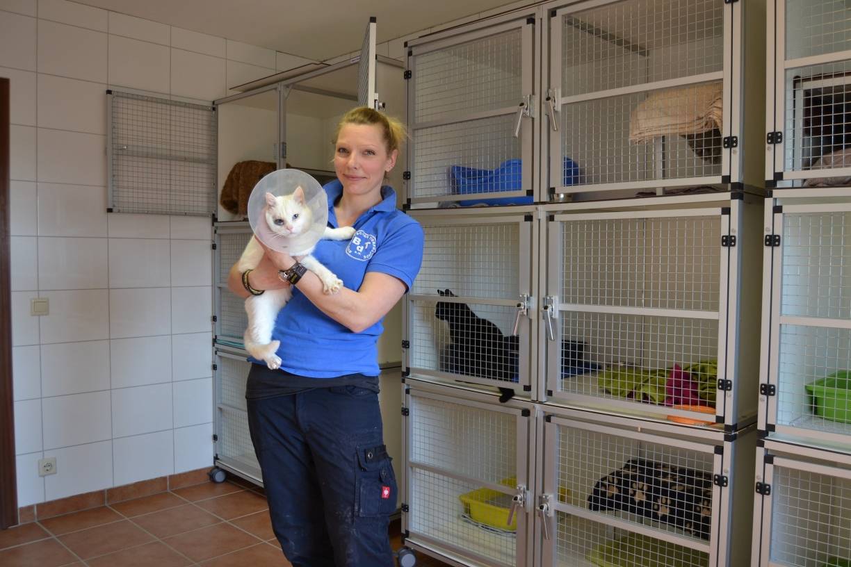 Lassen Sie Ihr Tier chippen!