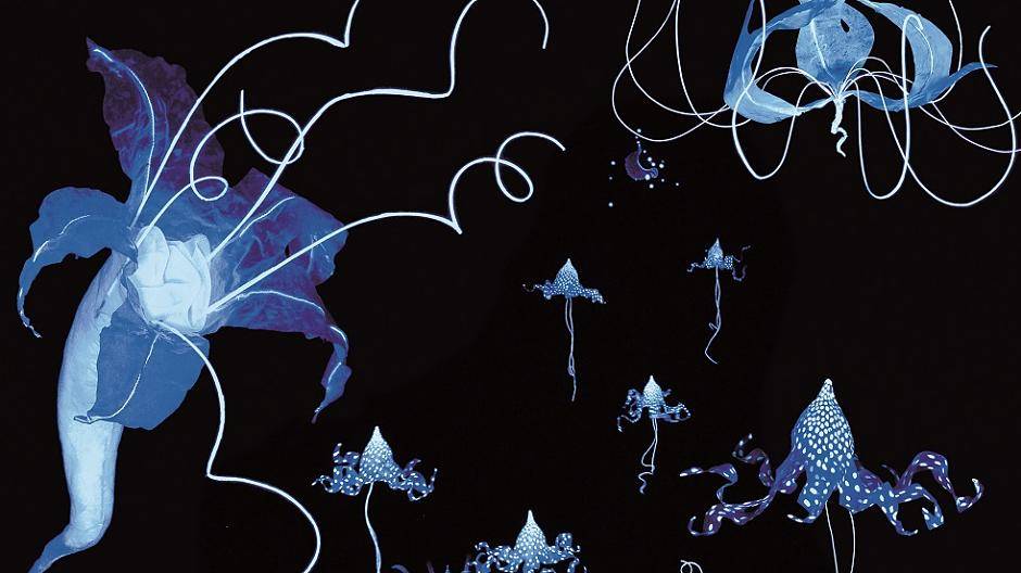 Im Stadtmuseum sind „Nachtblüten“, eine Schwarzlicht-Installation von Mila Langbehn, zu sehen.