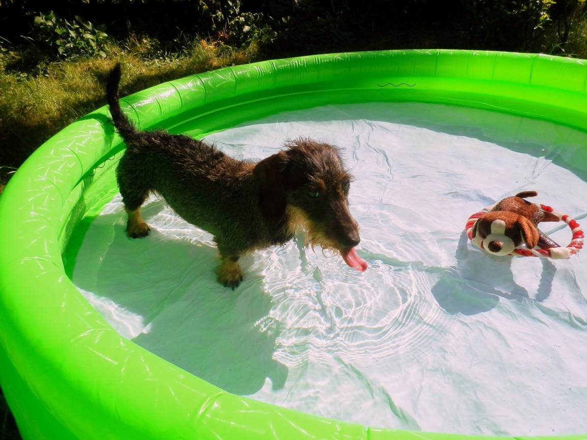 2018 — Bricht der Sommer alle Rekorde?