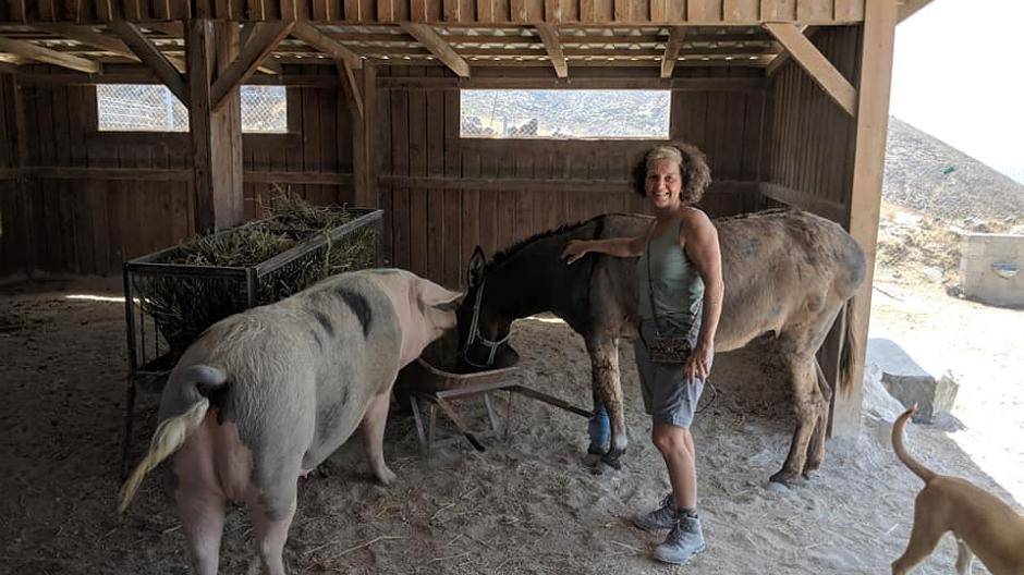 Auf Achse für die Fellnasen für Santorini