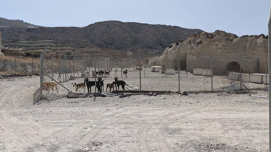Das Gelände des Tierheim...