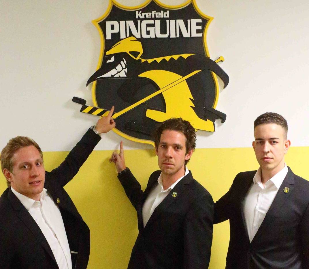 Pinguine wollen "Klinken putzen"