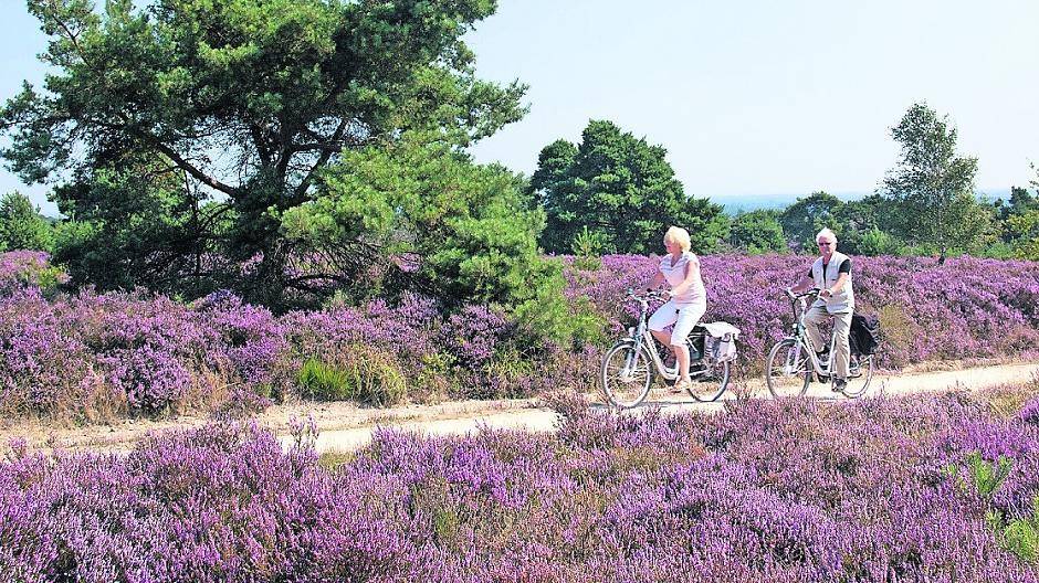  In Gelderland und Overijssel kommen Radfahrer voll auf ihre Kosten. Das können Sie auch haben... Foto: DasandereHolland 