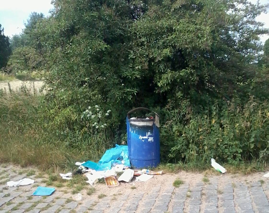 Müll landet nicht im sondern neben dem Mülleimer im Binsheimer Feld.