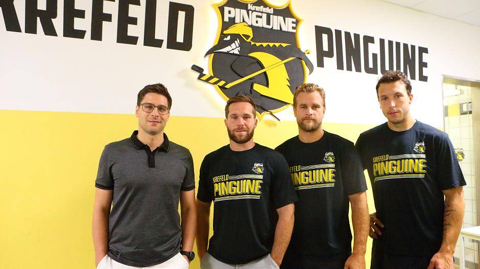 Pinguine bereit für harte Arbeit auf dem Eis