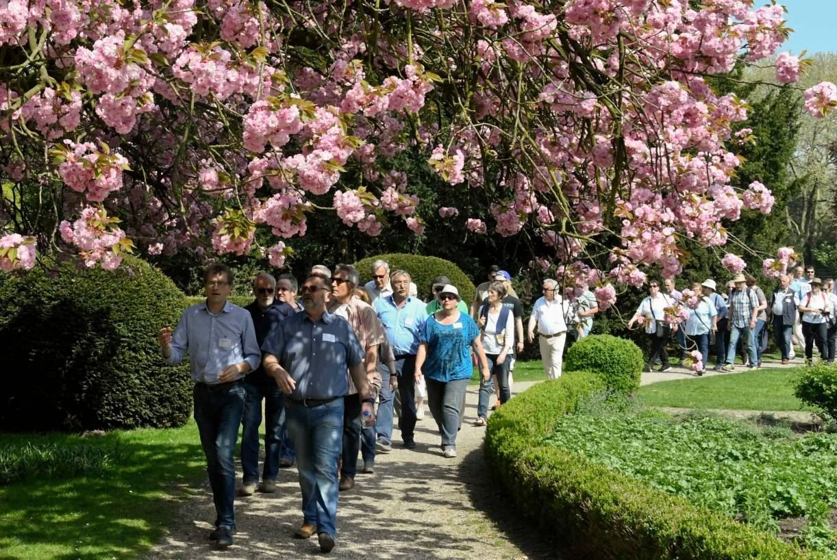  Suchbild: Finde den OB ... Teilnehmer des Bürgerspaziergangs im Jubiläumshain. 