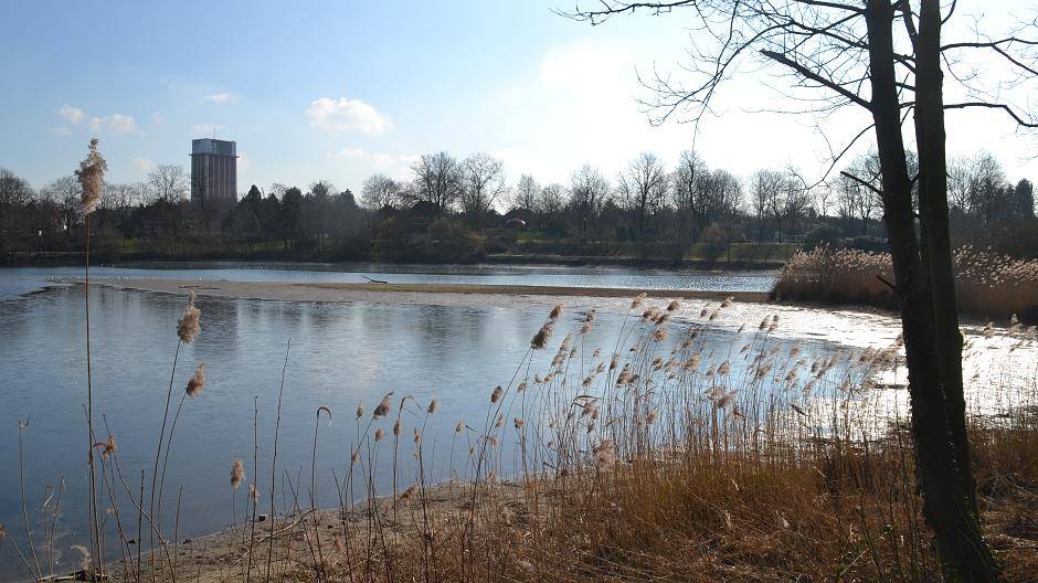 Bilderstrecke: Lösungen für den Pappelsee