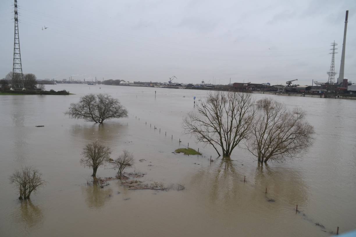 Der Rhein-Pegel steigt...