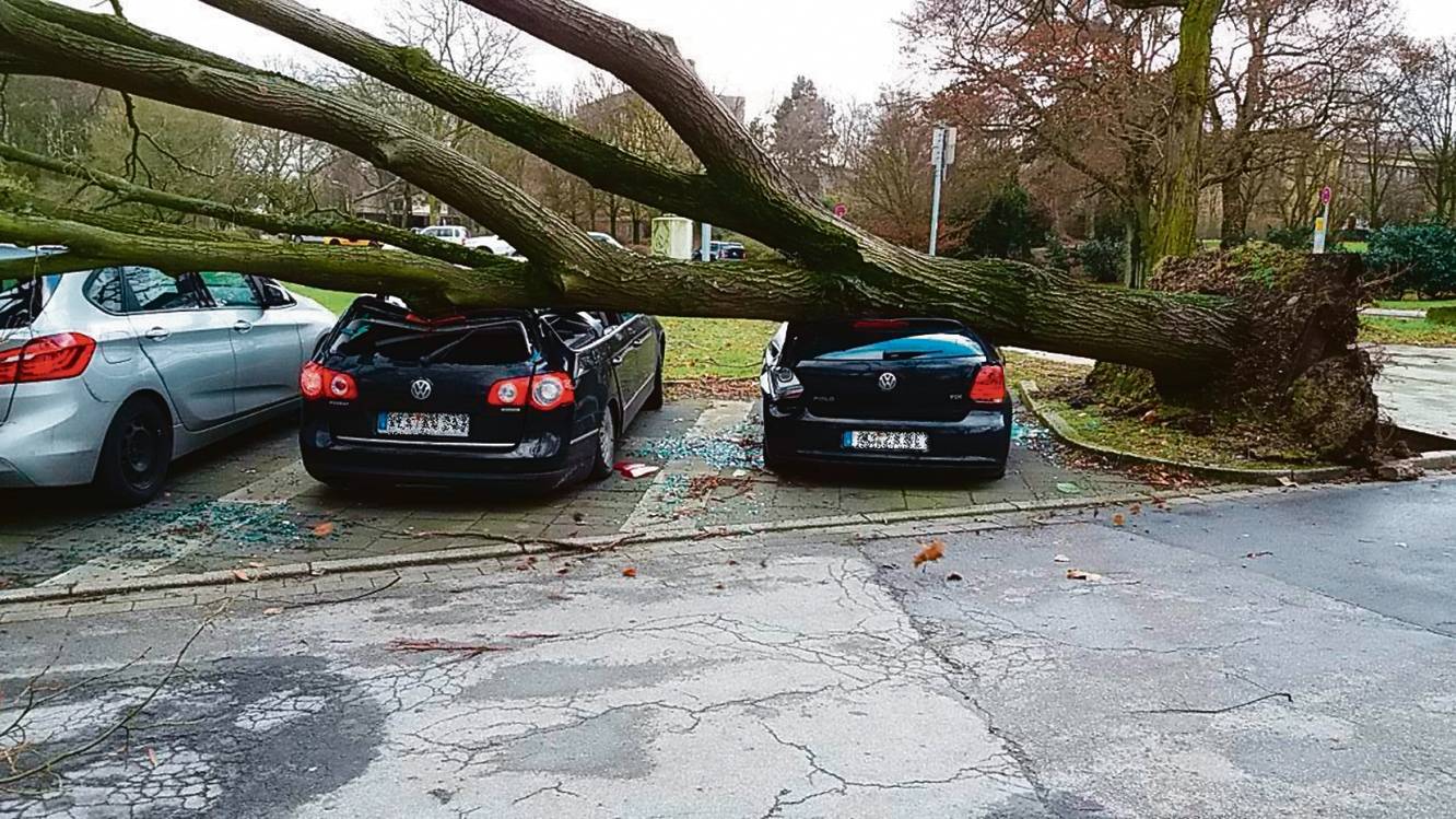  Am Johanniter Krankenhaus in Rheinhausen fiel ein großer Baum auf mehrere parkende Autos. 