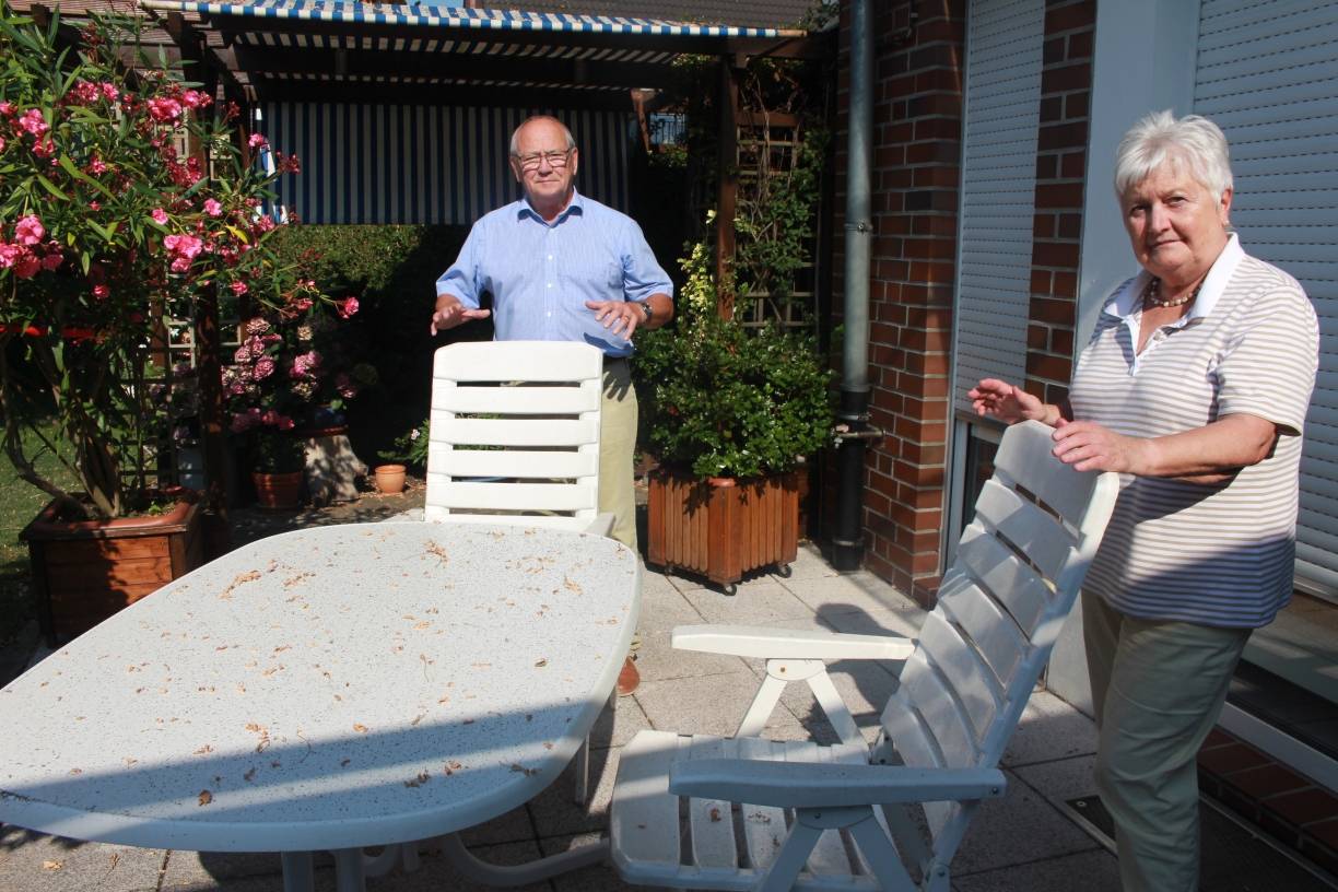 Invasion der Blattläuse