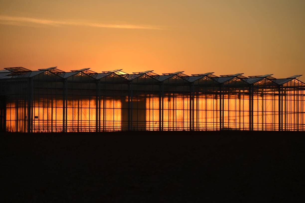  Peter Heymann belegte mit seinem Motiv „Treibhaus“ ebenfalls den zweiten Platz. 