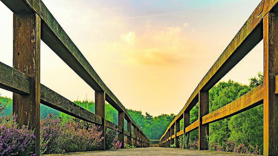Carsten Reuters Motiv ist der Bohlenweg. Damit belegte er den ersten Platz.