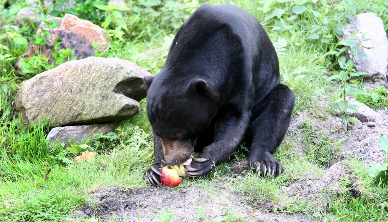 Die biologische Uhr tickt