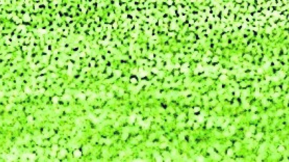 Fußball wird auch mal zur Nebensache