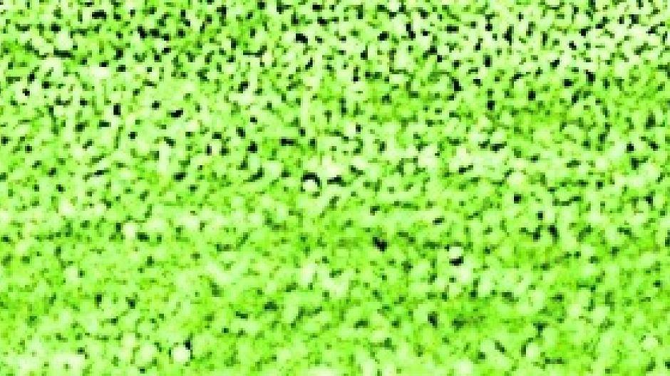 Fußball wird auch mal zur Nebensache