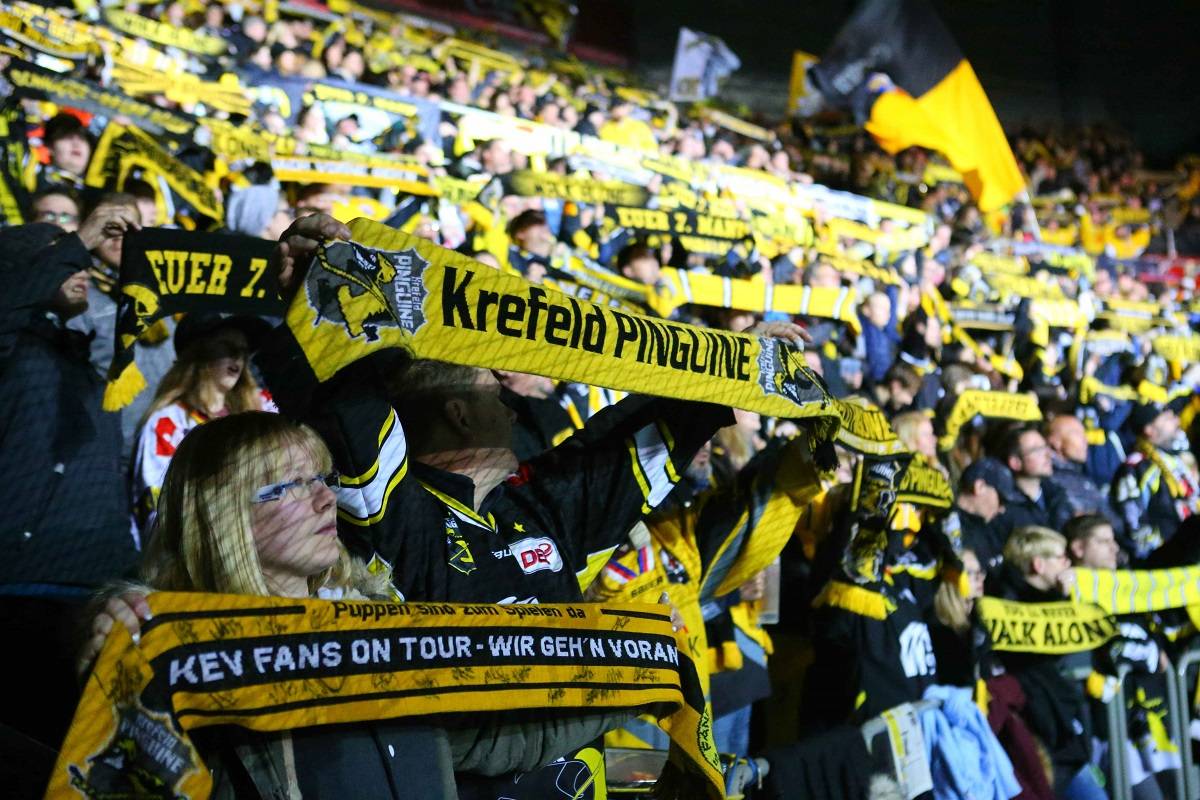 So kann es nicht weitergehen