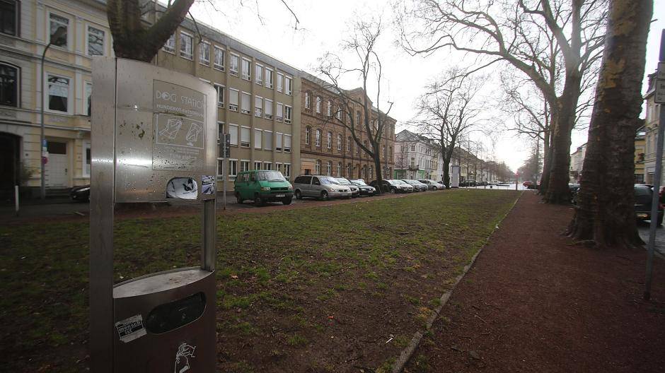 Auch der Mittelstreifen des Westwalls (zwischen Südwall und Lindenstraße) soll saniert...