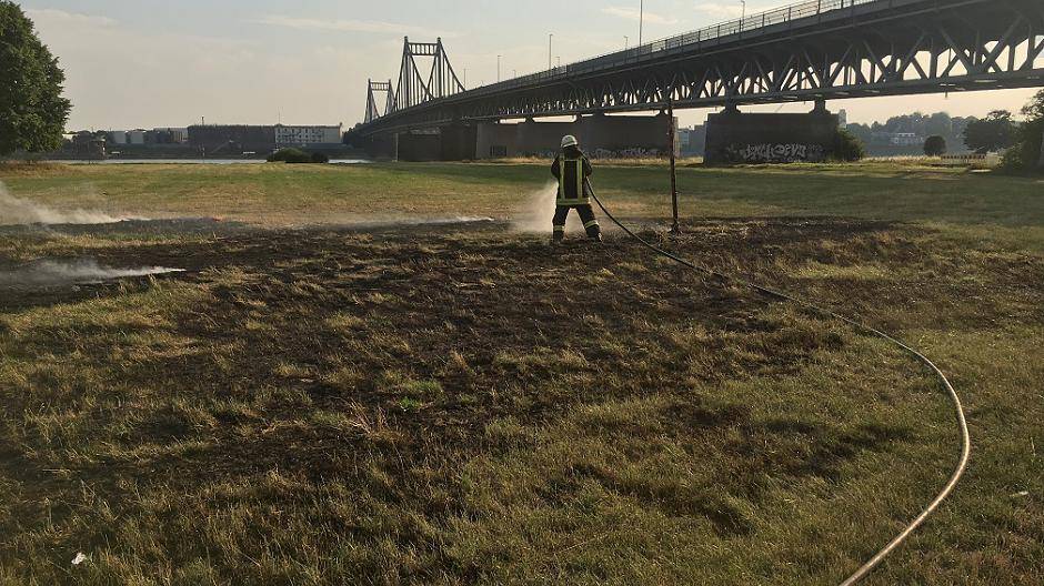  Bei 25 Einsätzen war der Löschzug 750 in den Sommermonaten besonders oft gefordert, zum Beispiel bei einem Flächenbrand in der Rheinaue am 5. Juli 2017. 