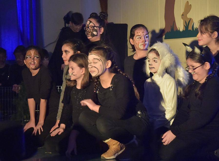 "Die Abenteuer des dicken Schweins in Amazonien" lautet der Titel der zweiten...