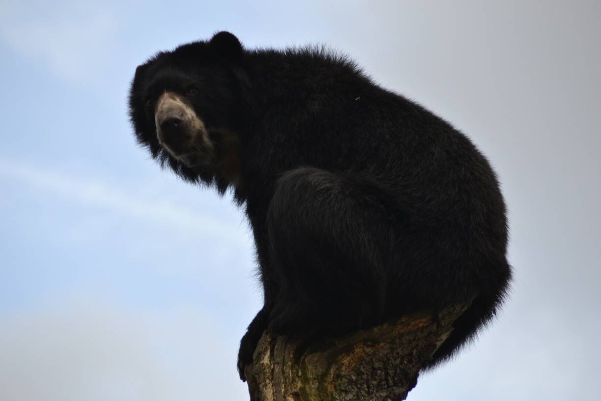 Zoo Duisburg beliebtestes Ziel