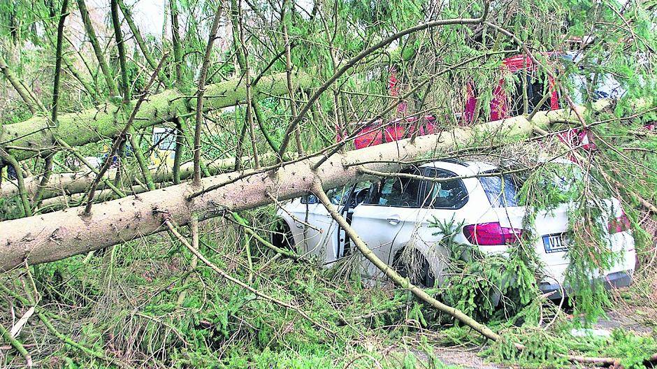 Glück im Unglück: Nur leicht verletzt wurde der Fahrer dieses Pkw. Fotos (2): Heike Ahlen