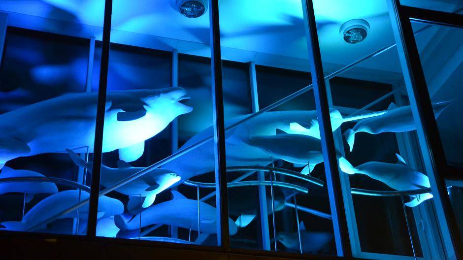  Seaworld Ruhrort ... 