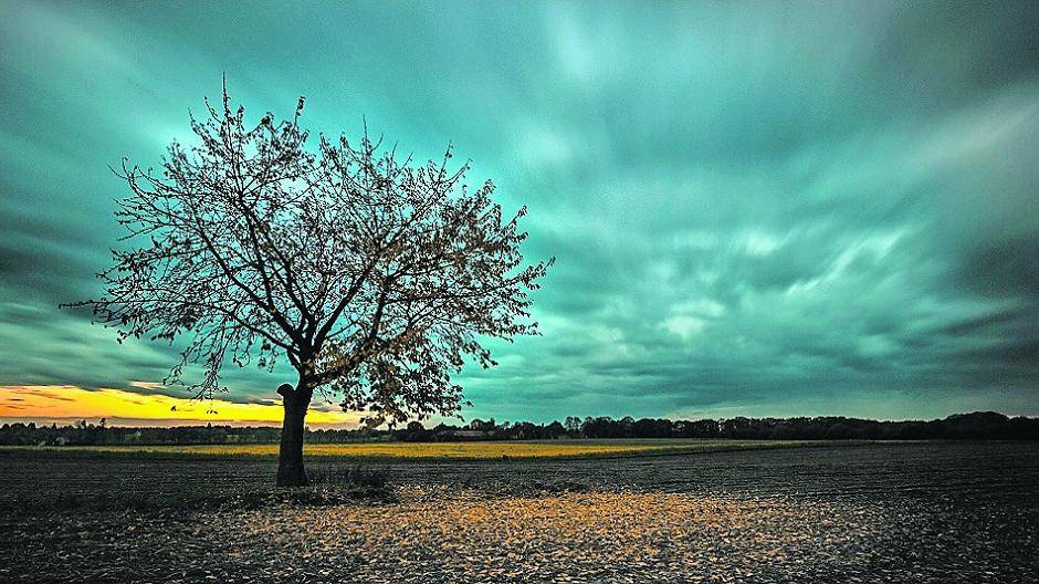  Armin Struck hat einen einsamen Baum im Sonnenuntergang bei Mönchengladbach bereits als Lieblingsplatz am Niederrhein auf dem Portal hochgeladen. 