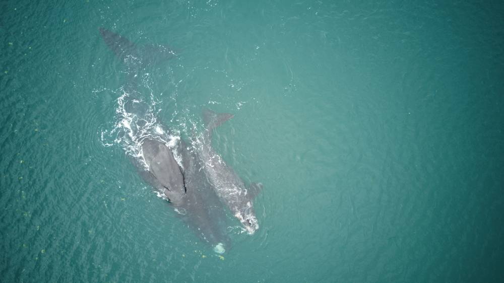 Mit einer Drohne konnte Uwe Papenroth während der Reise einige beeindruckende Bilder aus der Luft aufnehmen, wie von diesen Waalen.