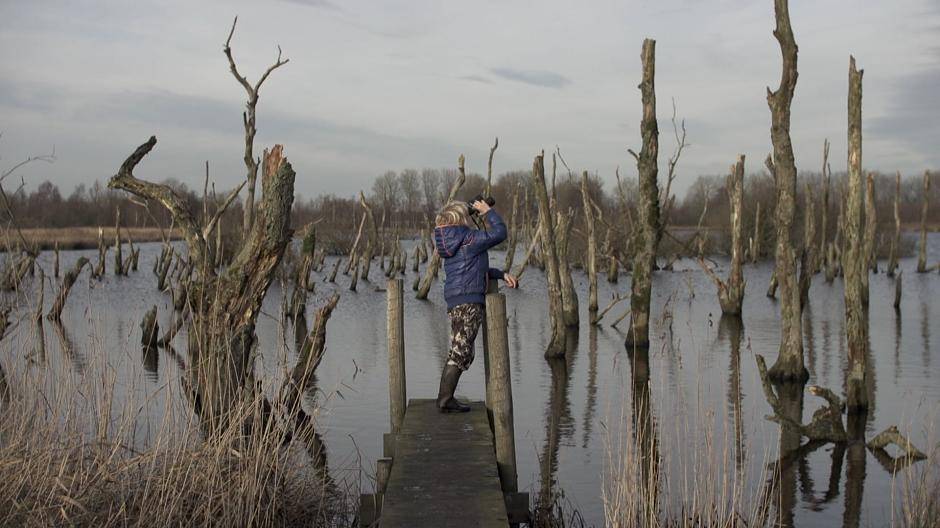 Wer, wie, was ist wirklich?