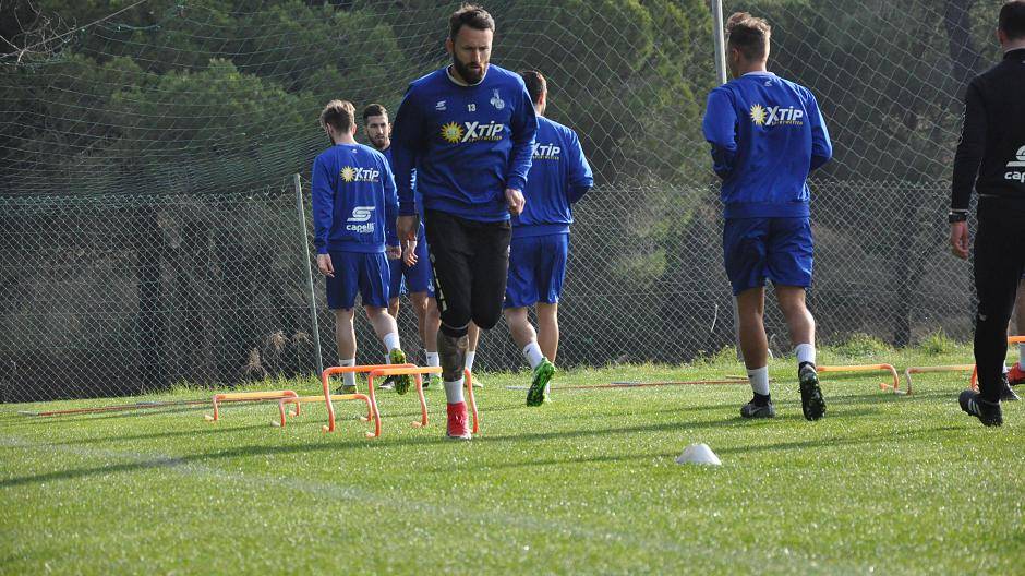 Zebras in Portugal - Tag fünf