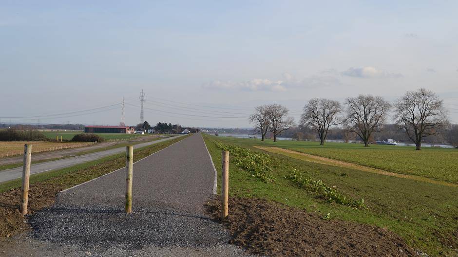 Auf dem Deich bei Mündelheim