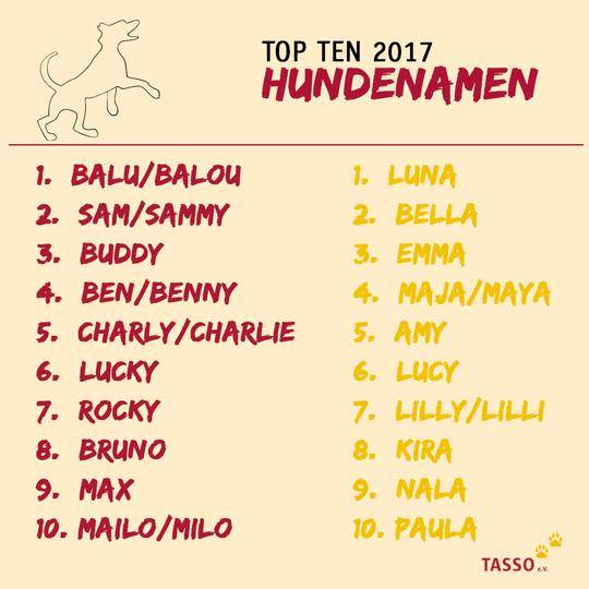 Hunde heißen Balu und Luna